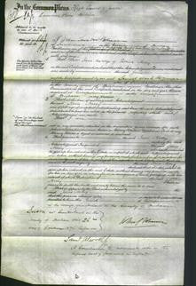 Court of Common Pleas - Jane Nacey-Original Ancestry