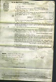 Court of Common Pleas - Lucy Jane Martha Evans-Original Ancestry