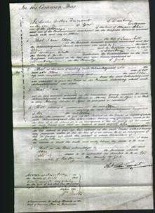 Court of Common Pleas - Ellen Scott-Original Ancestry