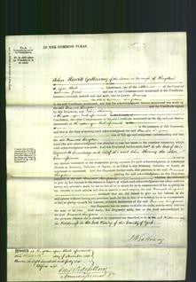 Court of Common Pleas - Frances Simpson-Original Ancestry