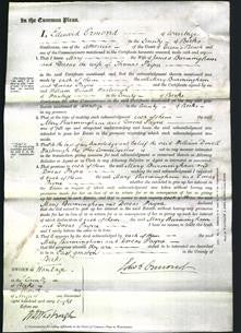 Court of Common Pleas - Mary Burmingham and Dorcas Payne-Original Ancestry