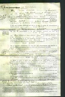 Court of Common Pleas - Zillah Larcombe-Original Ancestry