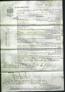 Court of Common Pleas - Jane Trenchard-Original Ancestry