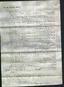 Court of Common Pleas - Julia Benson Gibbs-Original Ancestry