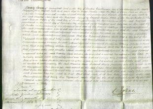 Court of Common Pleas - Martha Jane Lowe-Original Ancestry
