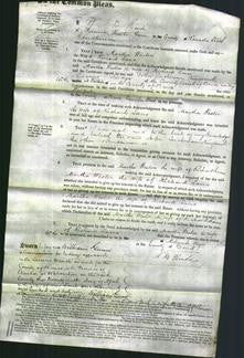 Court of Common Pleas - Martha Weston Lane-Original Ancestry