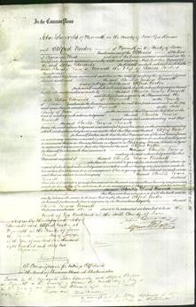 Court of Common Pleas - Amelia Emma Bennett Henderson-Original Ancestry