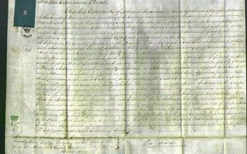 Court of Common Pleas - Catherine Tully-Original Ancestry