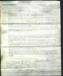 Court of Common Pleas - Mary Martin-Original Ancestry