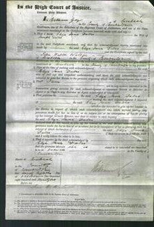 Court of Common Pleas - Eliza Jane Dales-Original Ancestry