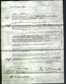 Court of Common Pleas - Sophia Osbourn-Original Ancestry