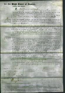 Court of Common Pleas - Emma Lovett and Betsey Shutt-Original Ancestry