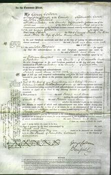 Court of Common Pleas document - Sarah Pocock and Ann Smith-Original Ancestry