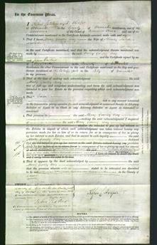 Court of Common Pleas - Mary Galley Day Salisbury-Original Ancestry