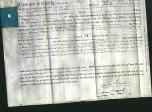 Deed by Married Women - Charlotte Hooker Hinson, Louisa Payne and Gertrude Holman-Original Ancestry