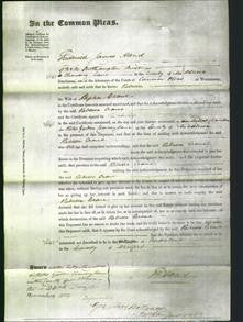 Court of Common Pleas - Rebecca Crane-Original Ancestry