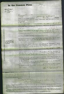 Court of Common Pleas - Elizabeth Brain-Original Ancestry