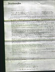 Court of Common Pleas - Elizabeth Corber and Emma Dawe-Original Ancestry