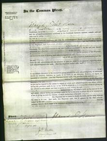 Court of Common Pleas - Agnes Newsham-Original Ancestry