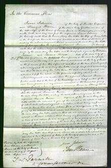 Court of Common Pleas - Mary Ann Cottle-Original Ancestry