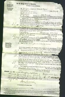 Court of Common Pleas - Elizabeth Butler and Elizabeth Woollam-Original Ancestry