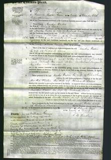 Court of Common Pleas - Martha Weston Lane-Original Ancestry