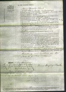 Court of Common Pleas - Harriet Lyster-Original Ancestry