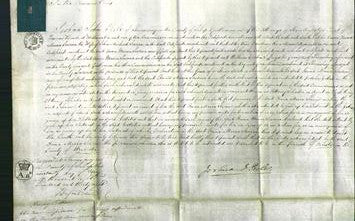 Court of Common Pleas - Anna Maria Severne-Original Ancestry