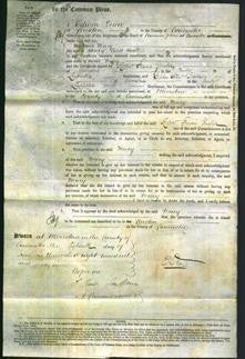 Court of Common Pleas - Mary Hunt-Original Ancestry