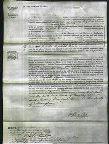 Court of Common Pleas - Isabella Elizabeth Denver-Original Ancestry