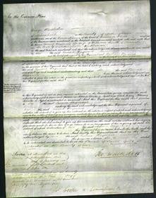 Court of Common Pleas - Emma Hayward Smith-Original Ancestry