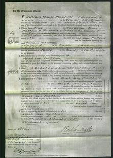 Court of Common Pleas - Sarah Jane Matthews-Original Ancestry