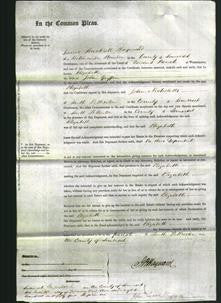 Court of Common Pleas - Elizabeth Griffin-Original Ancestry