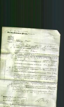 Court of Common Pleas - Olive Gibson-Original Ancestry