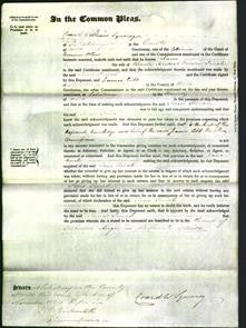 Court of Common Pleas - Jane Finch-Original Ancestry