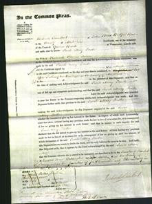 Court of Common Pleas - Sarah Mary Fowke-Original Ancestry