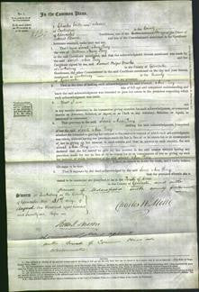 Court of Common Pleas - Sarah Ann Perry-Original Ancestry