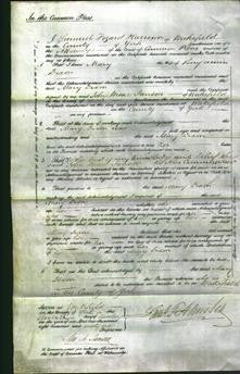 Court of Common Pleas - Mary Dixon-Original Ancestry