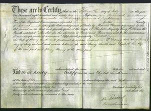 Court of Common Pleas - Emmaretta Claydon-Original Ancestry
