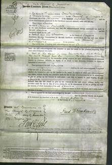 Court of Common Pleas - Louisa Cresswell-Original Ancestry