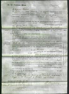 Court of Common Pleas - Elizabeth Denniss-Original Ancestry