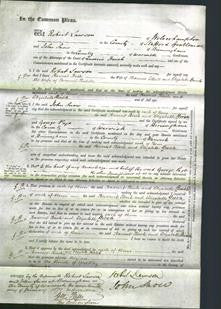 Court of Common Pleas - Harriet Birch Gunn Ethell and Elizabeth Birch Gunn Biddle-Original Ancestry