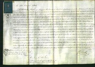 Court of Common Pleas - Jane Shaw-Original Ancestry