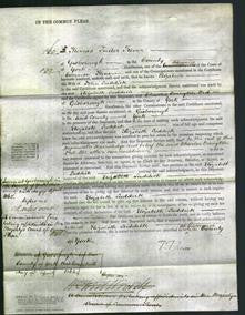 Court of Common Pleas - Elizabeth Suddick-Original Ancestry