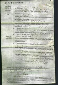 Court of Common Pleas - Susan Gascogne Hurry-Original Ancestry