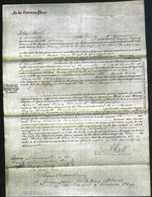 Court of Common Pleas - Mary Elizabeth Christopher-Original Ancestry