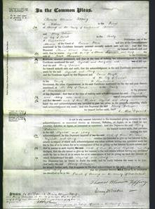 Court of Common Pleas - Elizabeth Stevenson and Mary Thompson-Original Ancestry