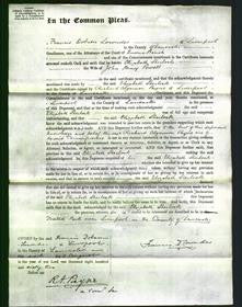 Court of Common Pleas - Elizabeth Sherlock Powell-Original Ancestry