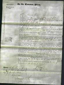 Court of Common Pleas - Charlotte Tunnicliff-Original Ancestry
