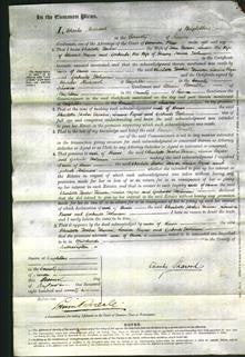 Court of Common Pleas - Charlotte Hooker Hinson, Louisa Payne and Gertrude Holman-Original Ancestry